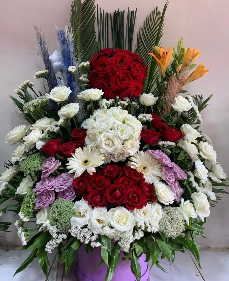 WhatsApp Image 2024 06 12 a 10.38.03 c29f120b 768x940