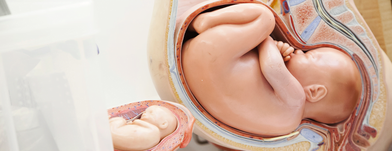 Position du bébé