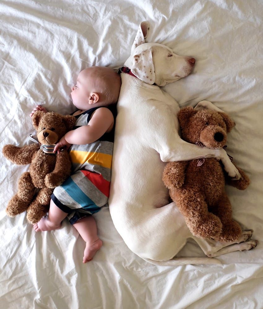 bébé et animal de compagnie