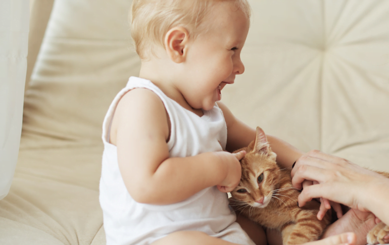 bébé et animal de compagnie: les bons gestes à adopter