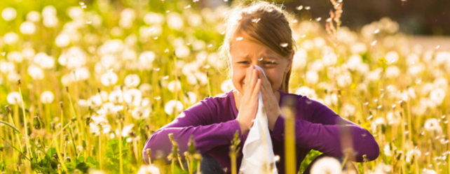 Allergies respiratoires aux pollens