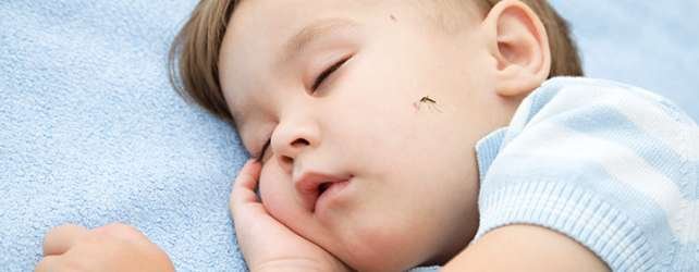 Piqûres de moustiques: comment protéger et soigner bébé